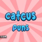 Catcus puns