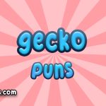 Gecko puns