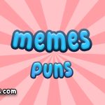 Memes puns