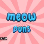 Meow puns