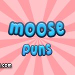 Moose puns