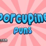 Porcupine puns