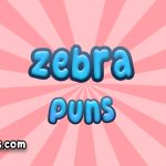 Zebra puns