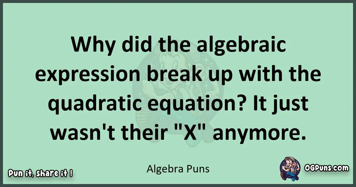wordplay with Algebra puns