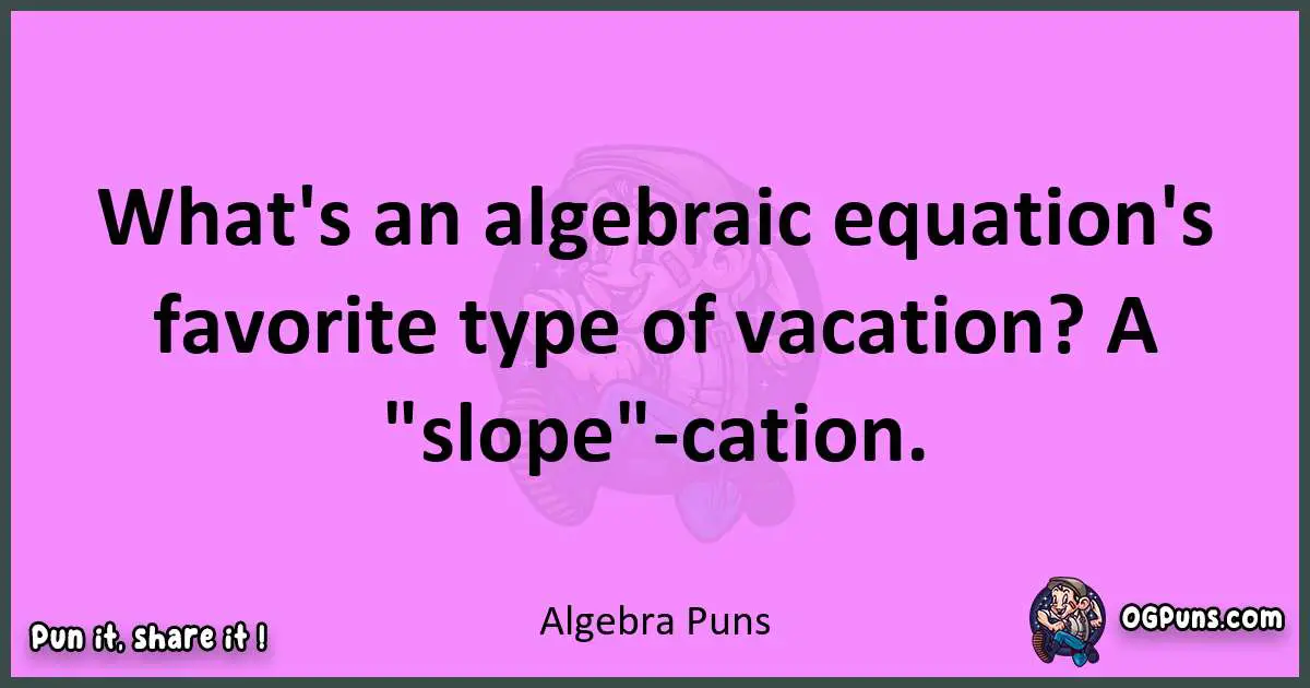 Algebra puns nice pun