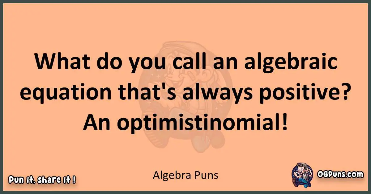 pun with Algebra puns