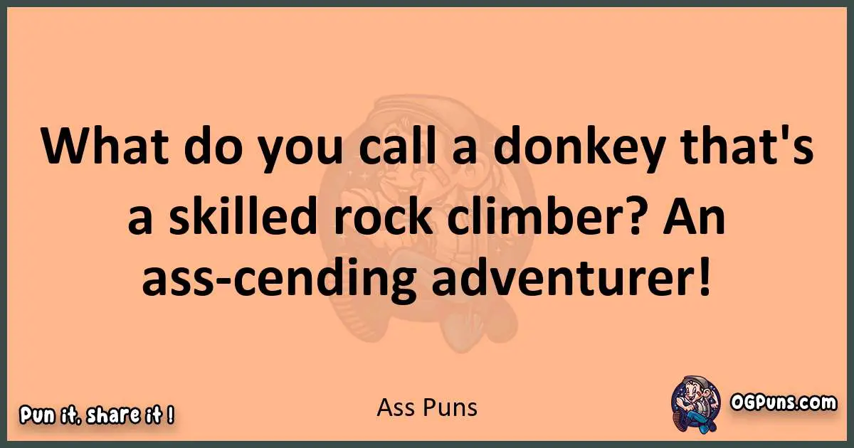 pun with Ass puns