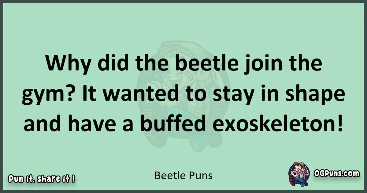 wordplay with Beetle puns