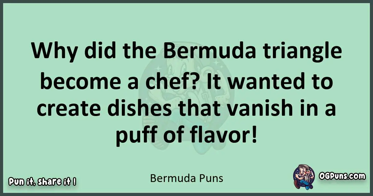 wordplay with Bermuda puns