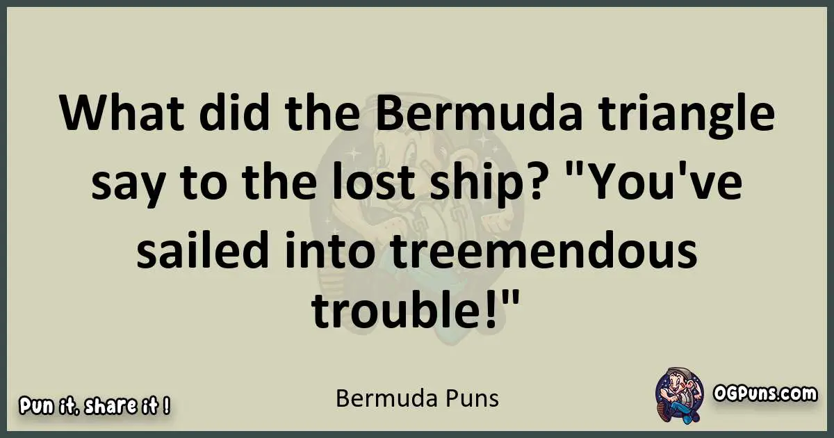 Bermuda puns text wordplay
