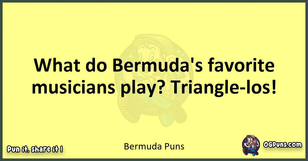 Bermuda puns best worpdlay