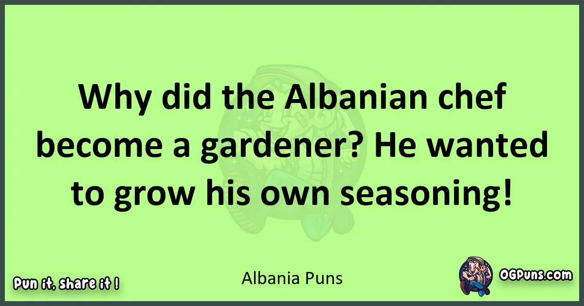 short Albania puns pun