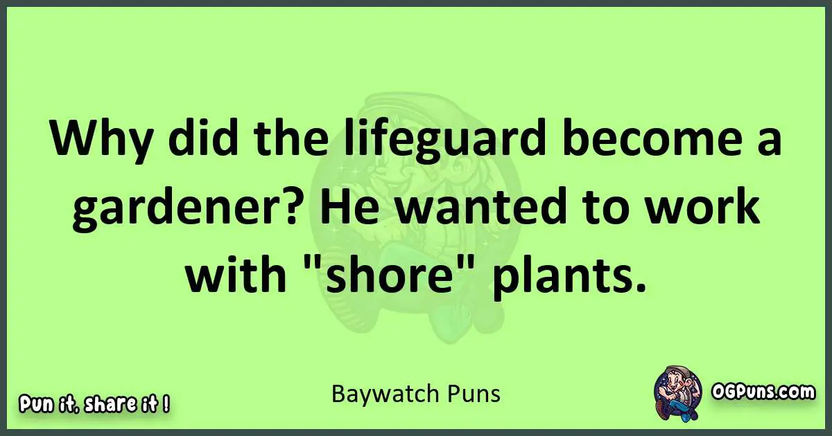 short Baywatch puns pun