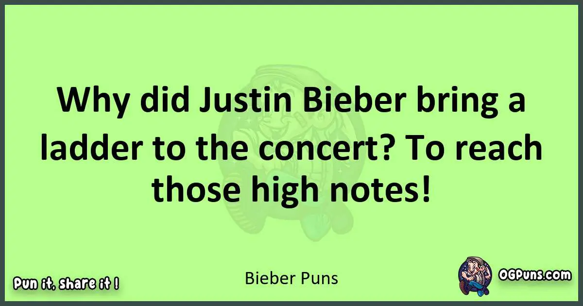 short Bieber puns pun