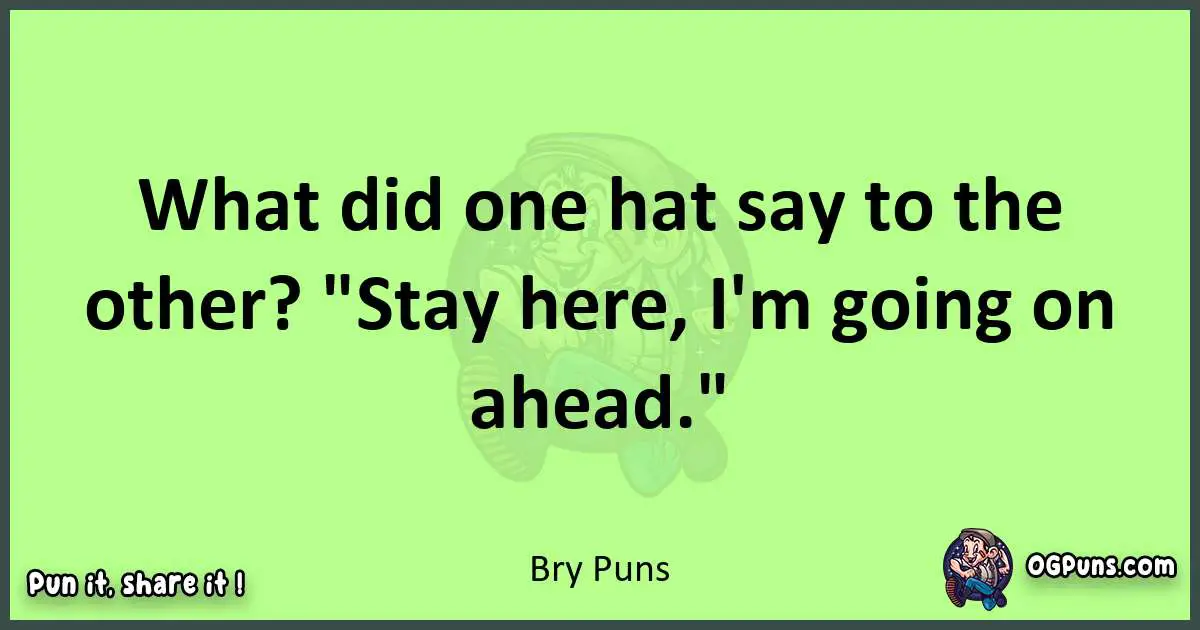short Bry puns pun