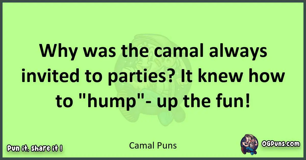 short Camal puns pun