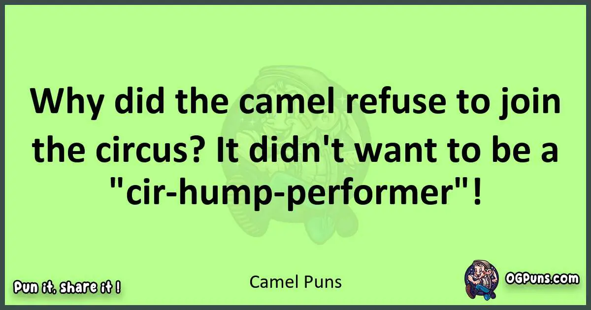 short Camel puns pun