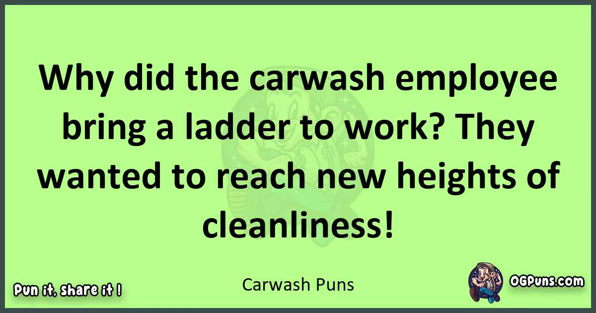 short Carwash puns pun