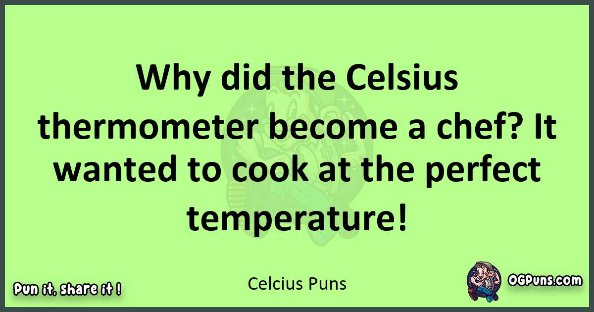 short Celcius puns pun