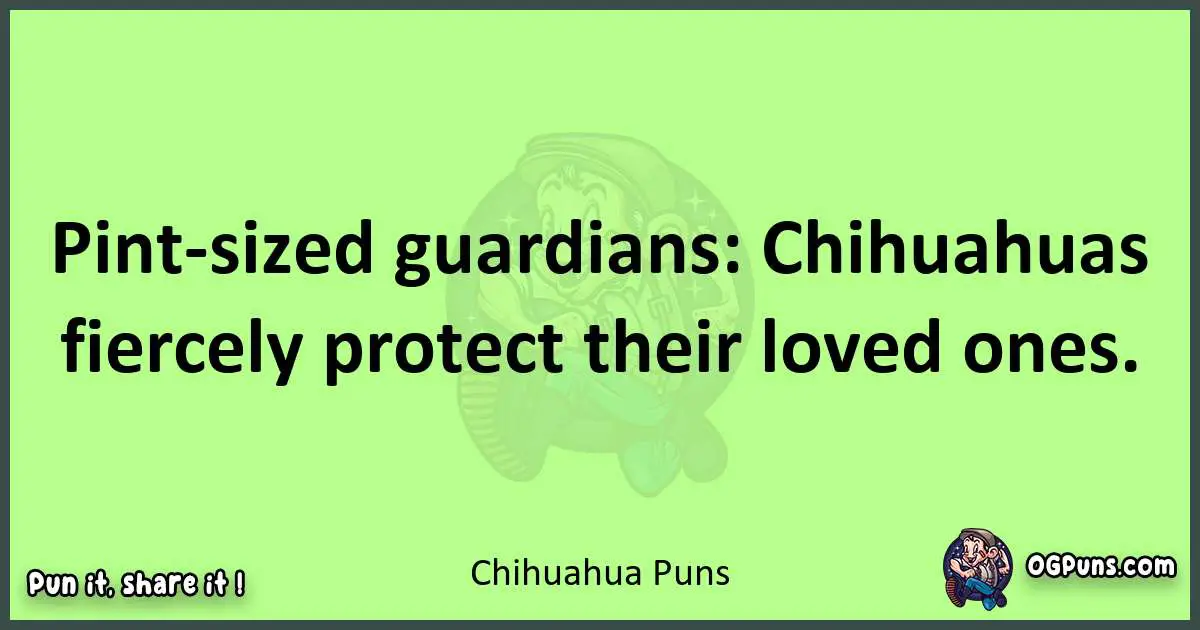 short Chihuahua puns pun