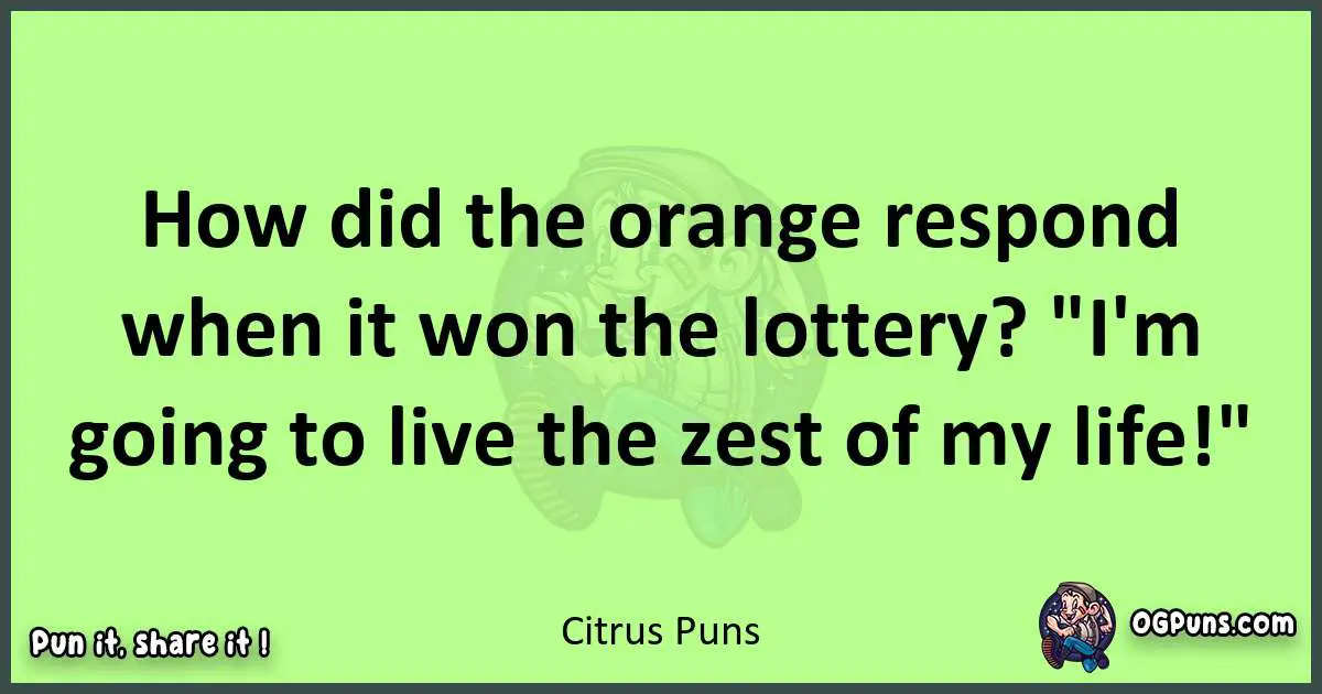 short Citrus puns pun