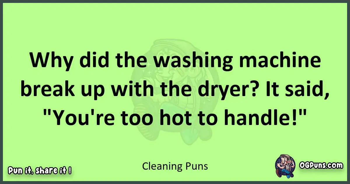 short Cleaning puns pun