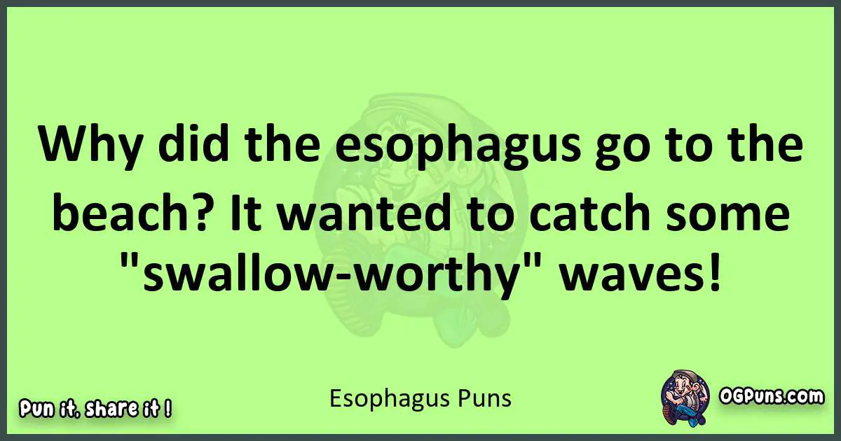 short Esophagus puns pun