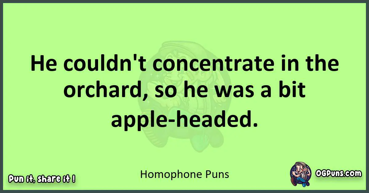 short Homophone puns pun