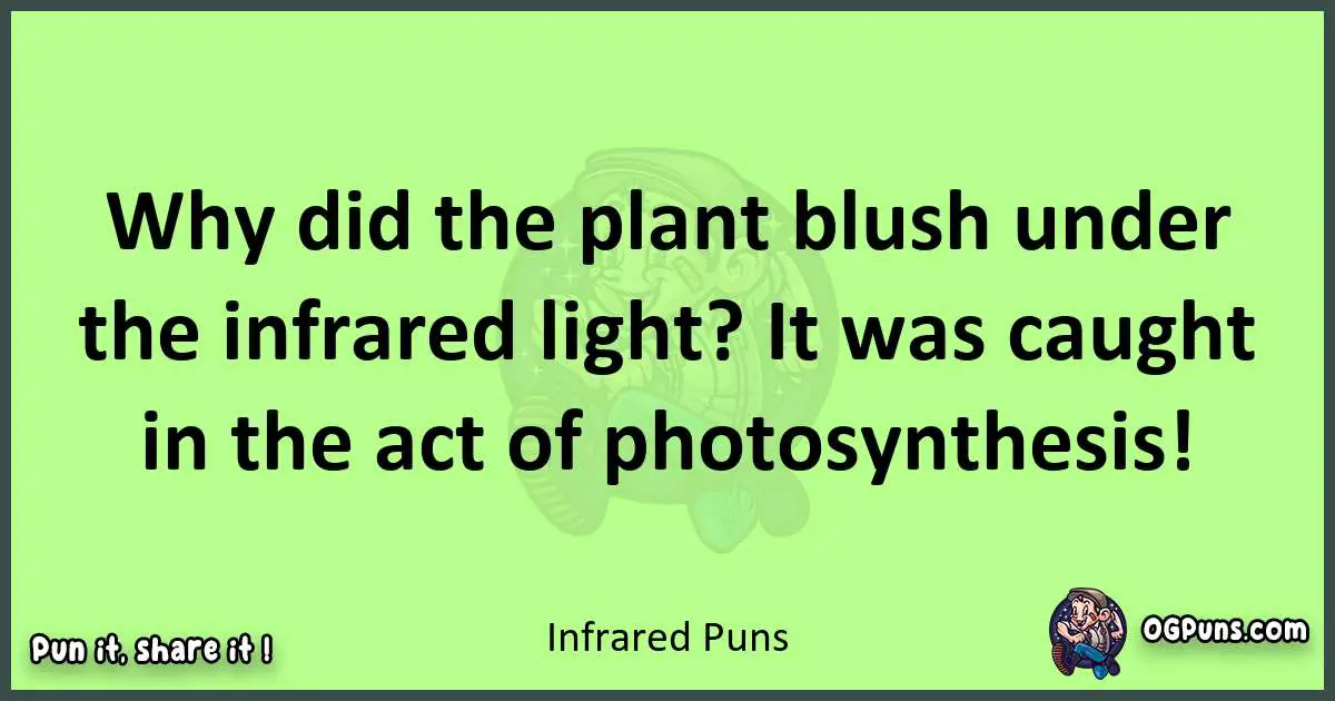 short Infrared puns pun