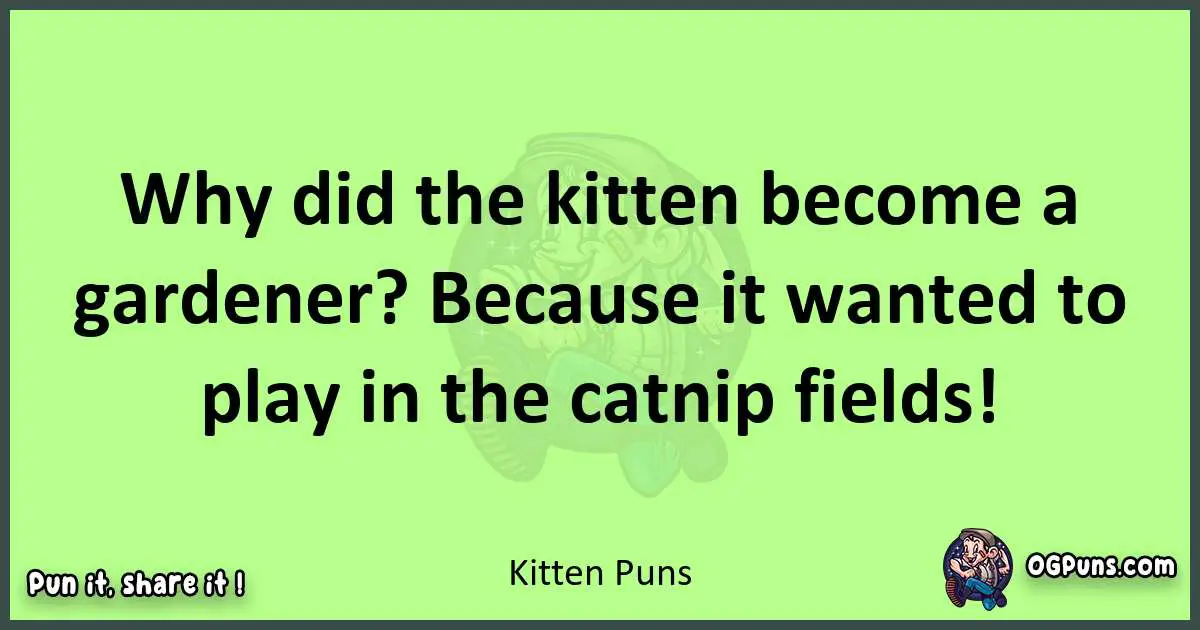 short Kitten puns pun