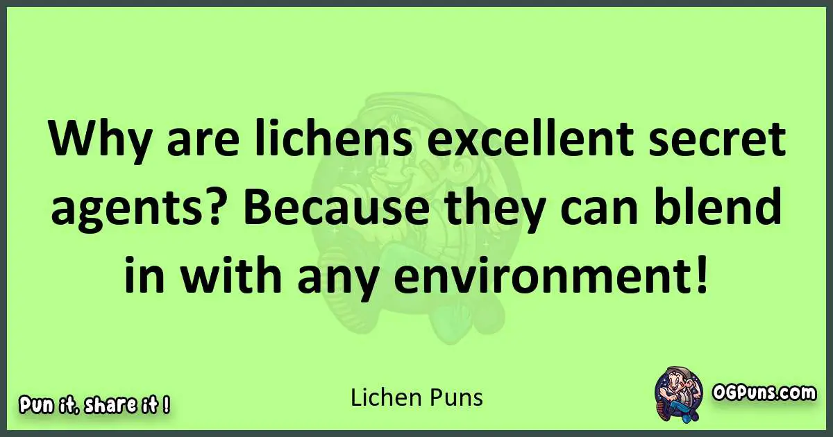 short Lichen puns pun