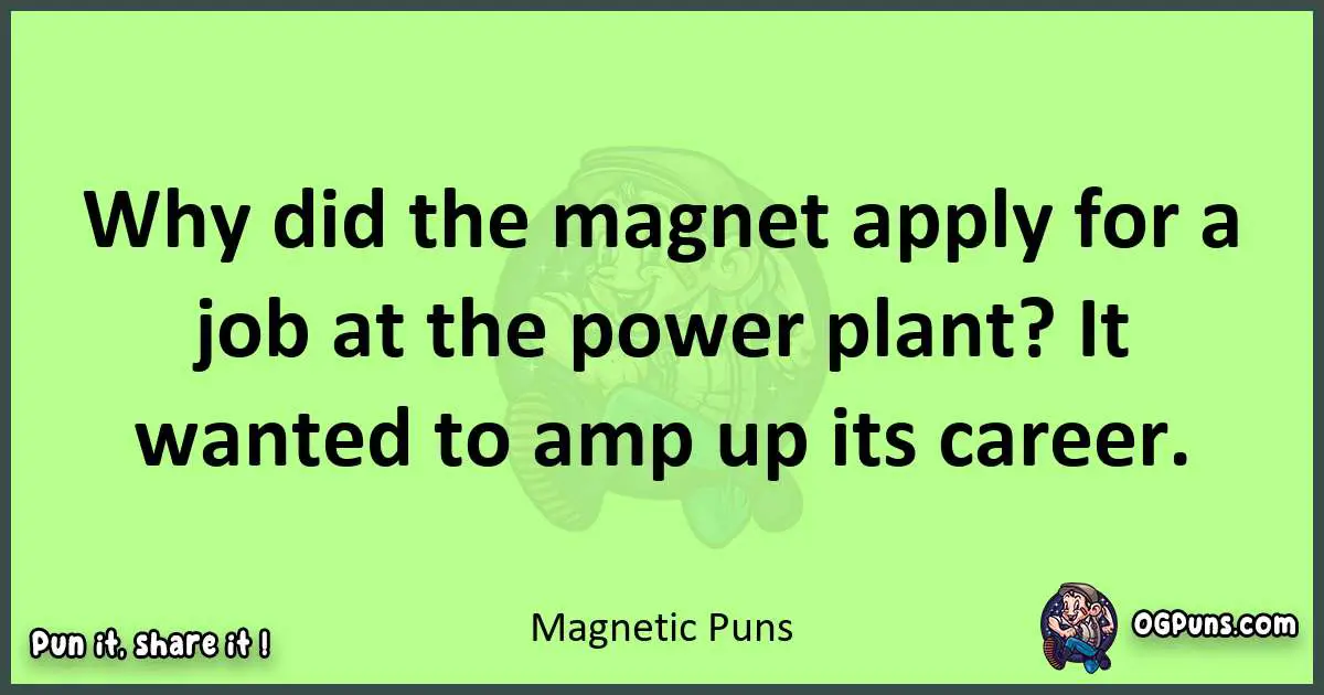 short Magnetic puns pun