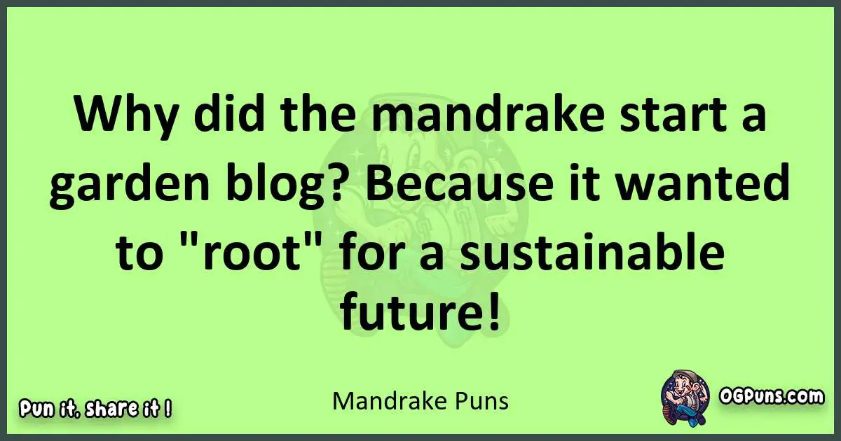 short Mandrake puns pun