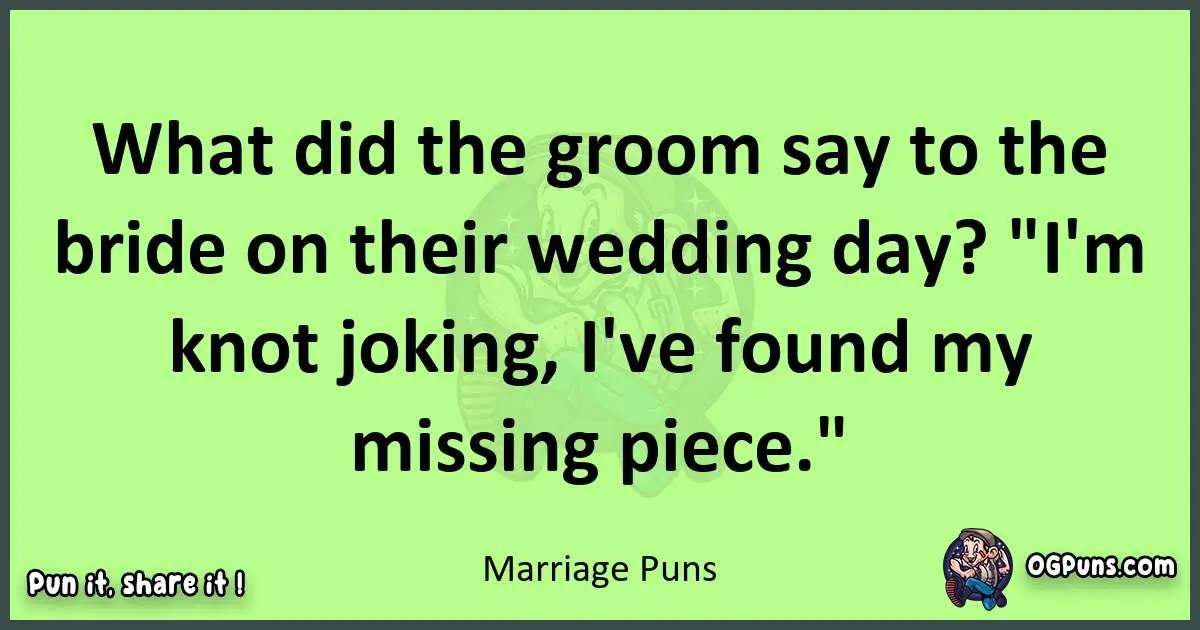 short Marriage puns pun