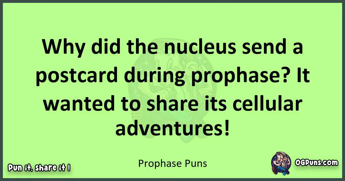 short Prophase puns pun