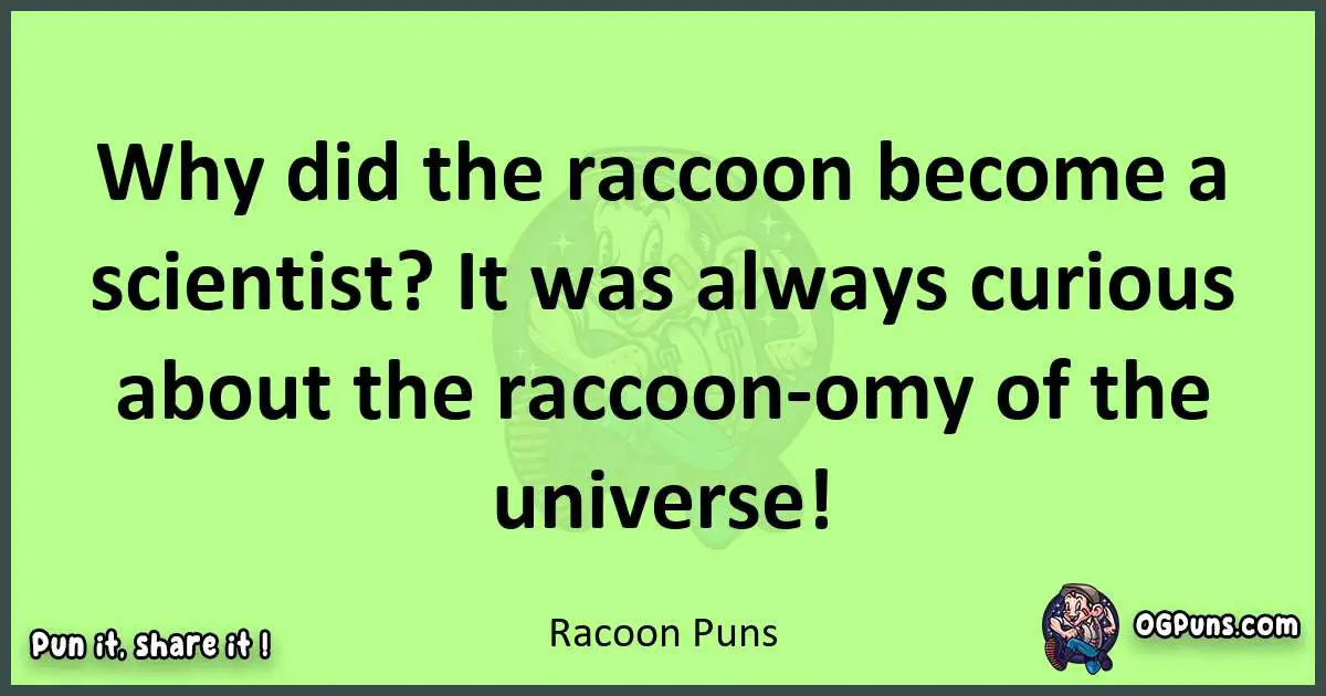 short Racoon puns pun