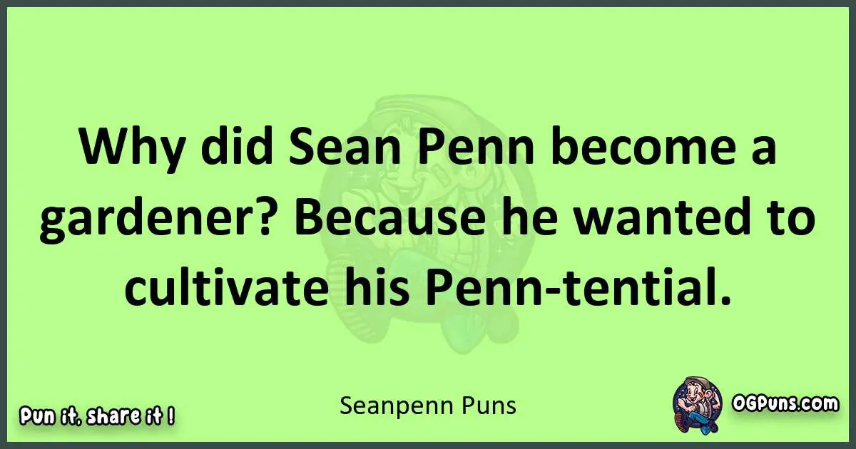 short Sean penn puns pun