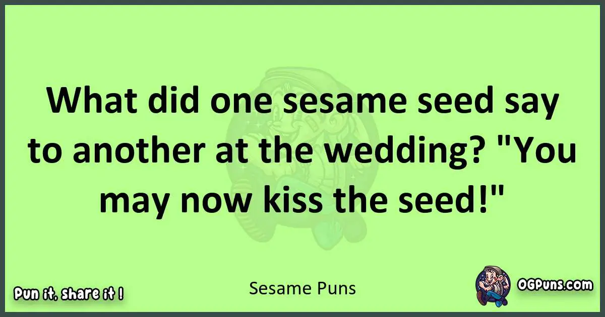 short Sesame puns pun