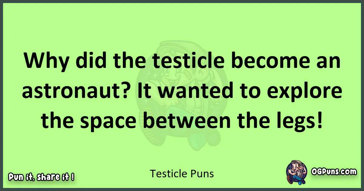 short Testicle puns pun