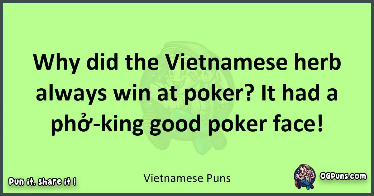 short Vietnamese puns pun