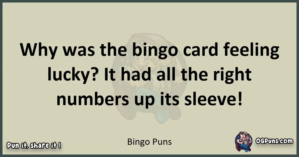 Bingo puns text wordplay