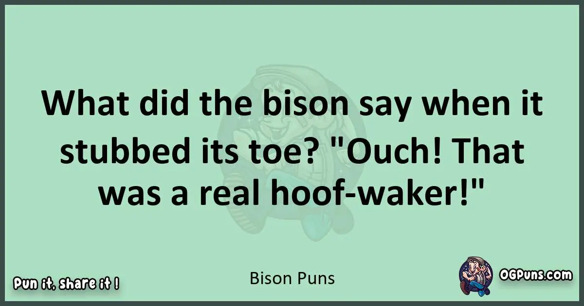 wordplay with Bison puns