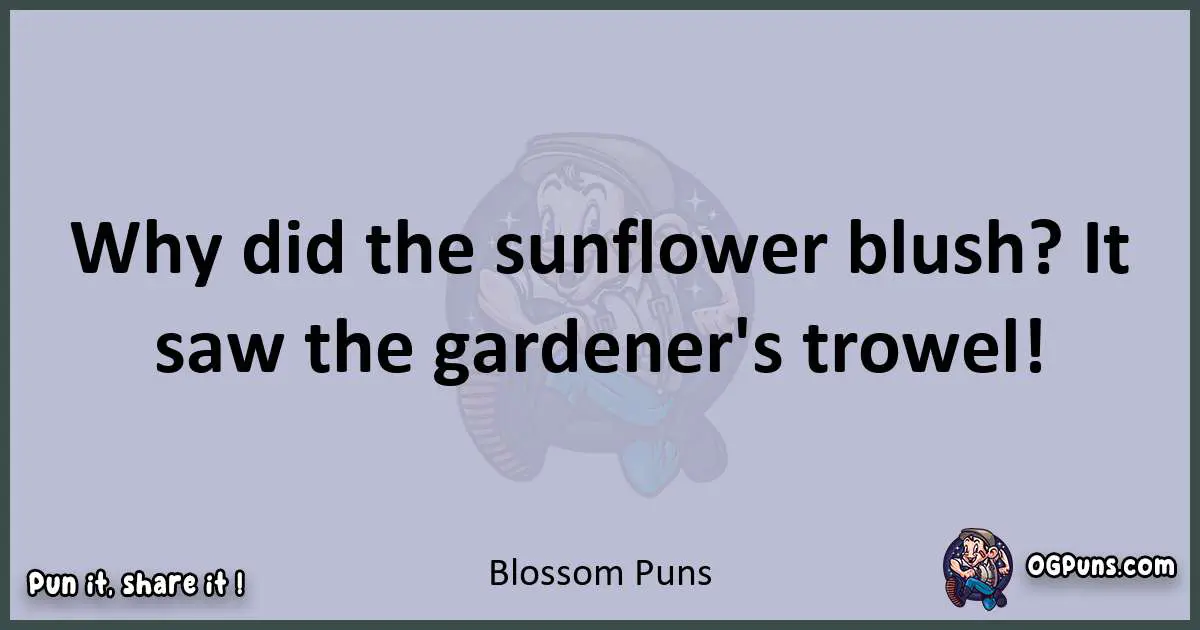Textual pun with Blossom puns