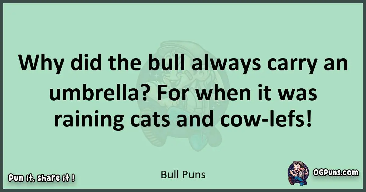 wordplay with Bull puns