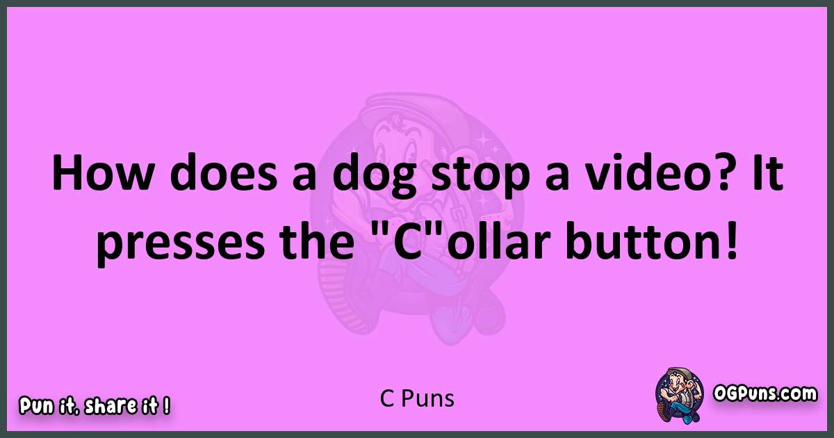 C puns nice pun