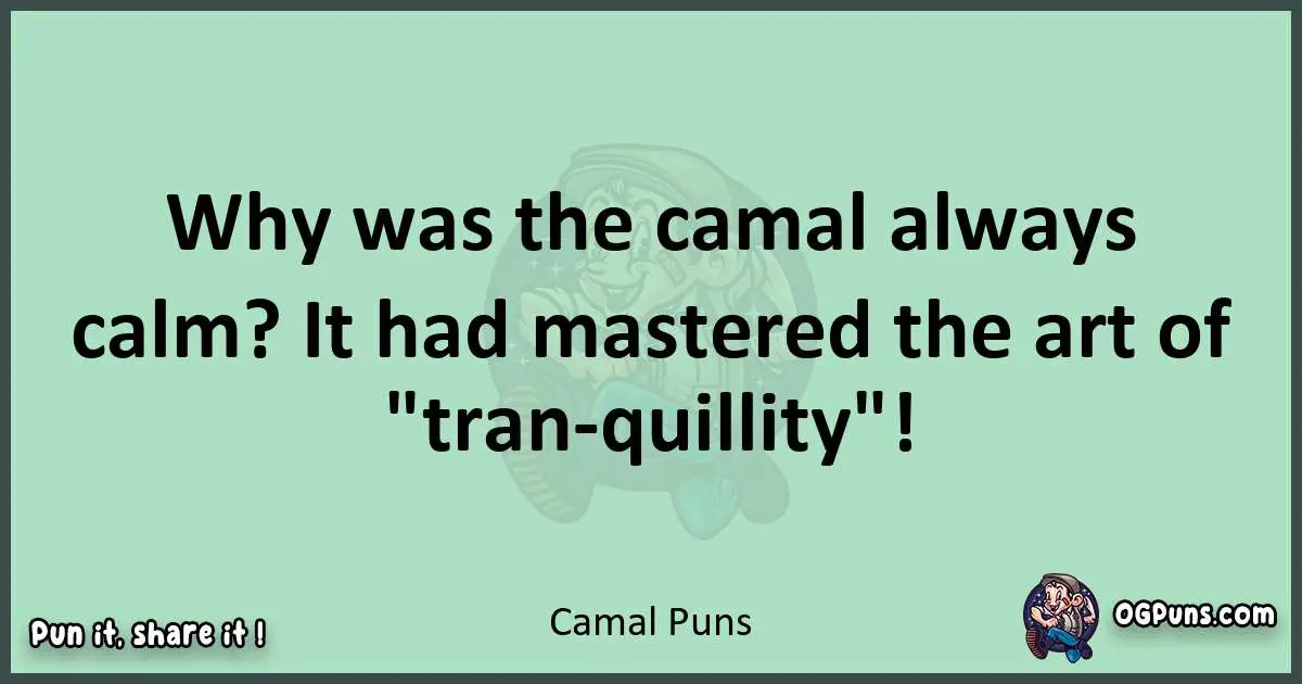 wordplay with Camal puns