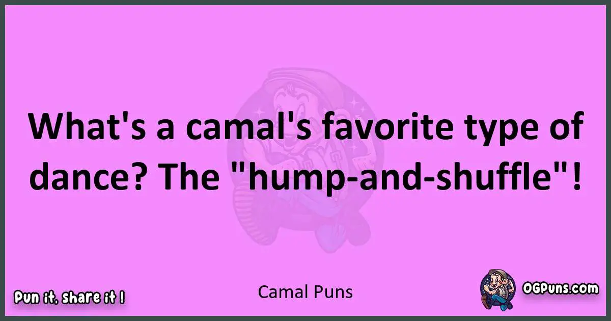 Camal puns nice pun