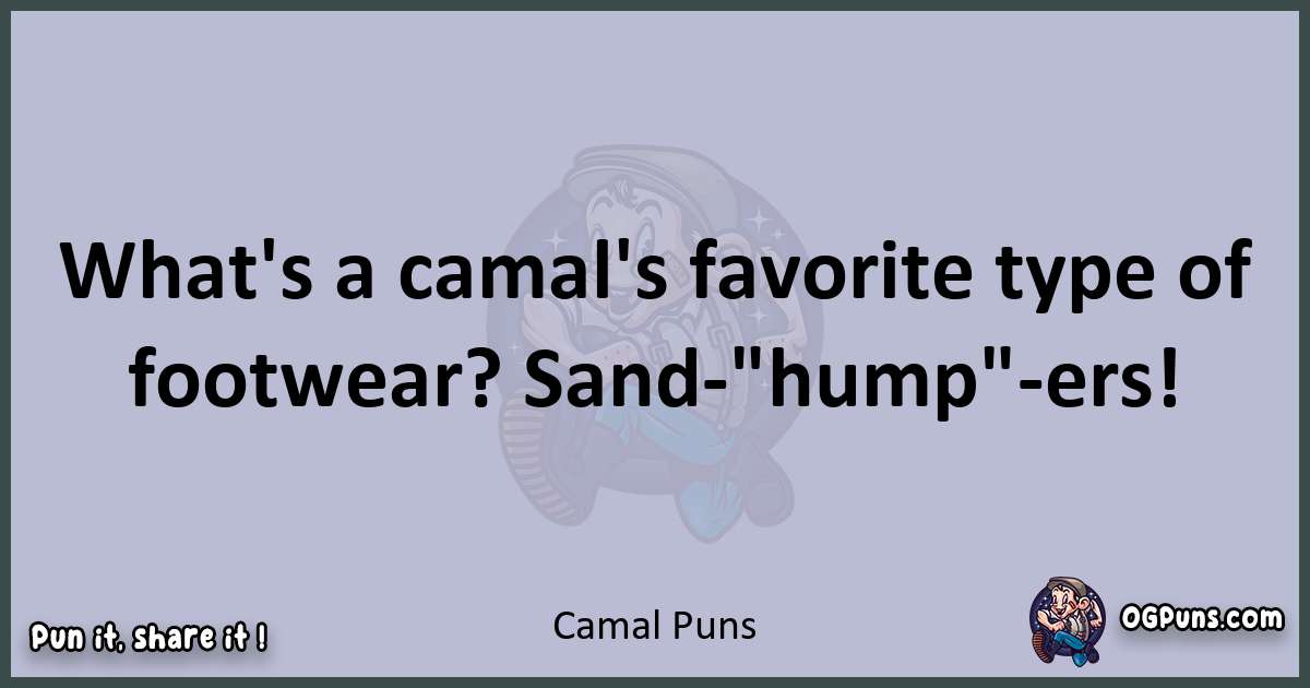 Textual pun with Camal puns