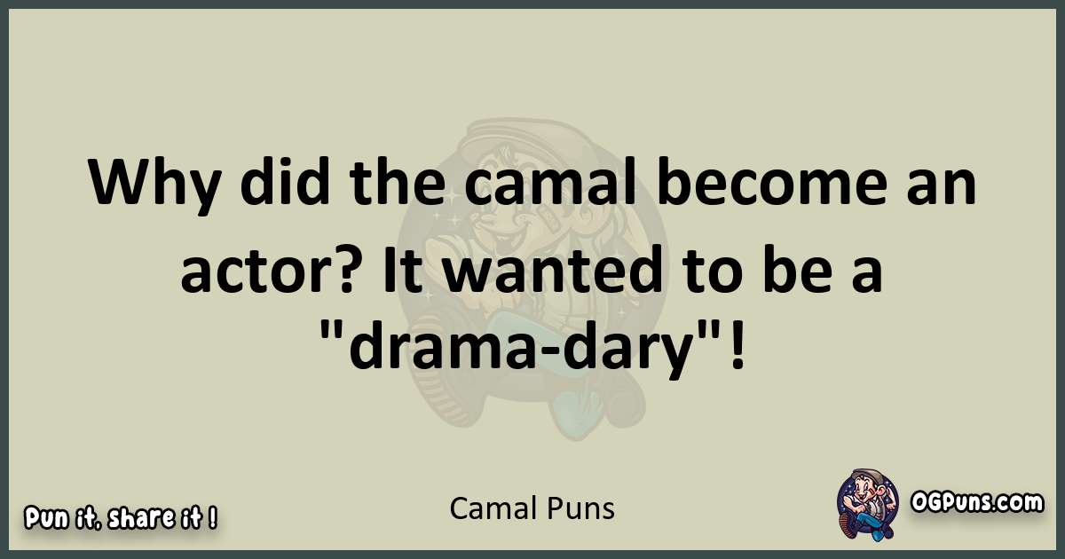 Camal puns text wordplay