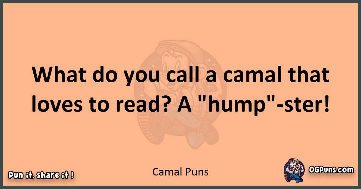 pun with Camal puns